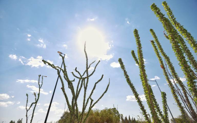 ¡No cesan altas temperaturas en la frontera!, revisa aquí el pronostico del clima