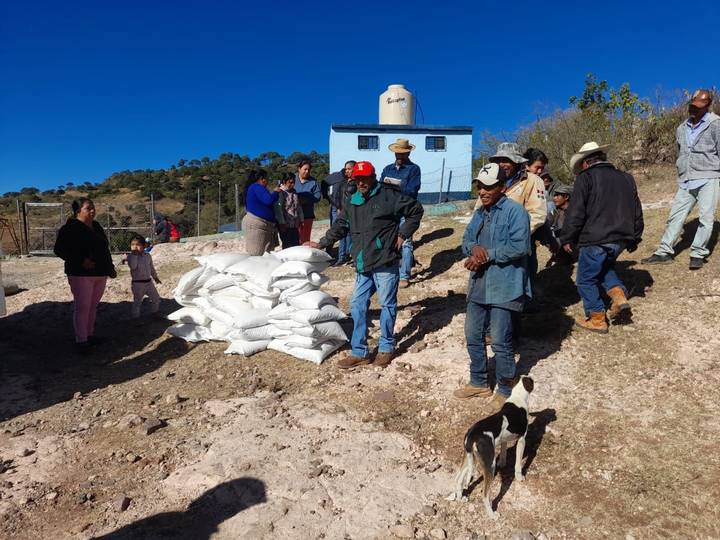 Llevan sacos de maíz y frijol a 180 familias de Moris
