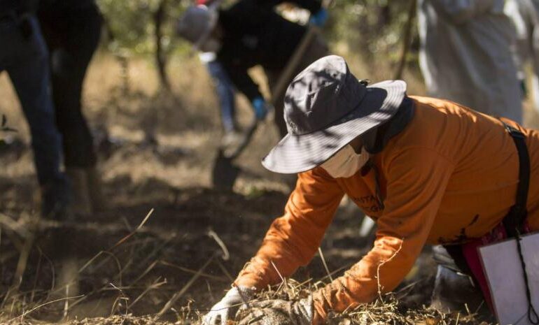 Necesario fortalecer el llamado a un acuerdo de paz nacional: Madres buscadoras.