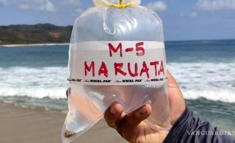 Reportan 14 playas contaminadas con heces fecales en México