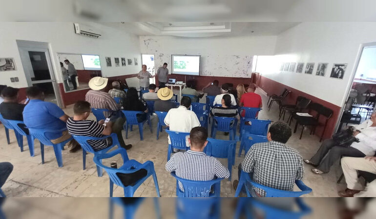 Participa Sader en talleres para mejorar suelos en el cultivo del limón