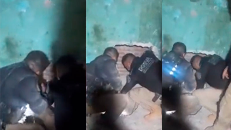 Rescatan a perrita atrapada en medio de dos muros en CDMX