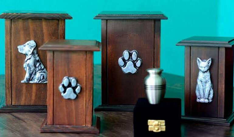 Cremación de mascotas a bajo costo en el Centro de Atención Animal de Morelia