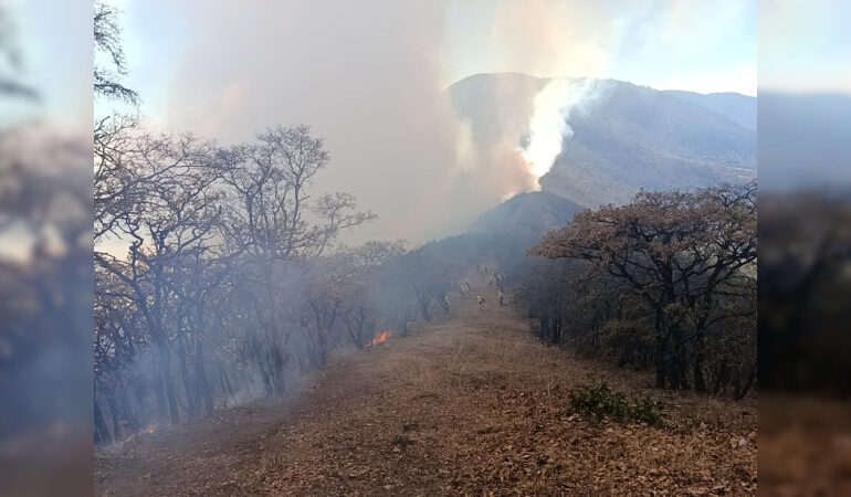 Controlan al 90% incendio forestal en San Lucas Quiaviní, Oaxaca
