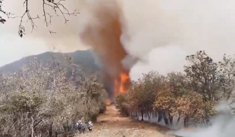 Gobierno de Oaxaca informa que incendio forestal se combate por 2 frentes
