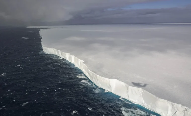 Iceberg más grande del mundo chocaría con isla repleta de pingüinos y focas