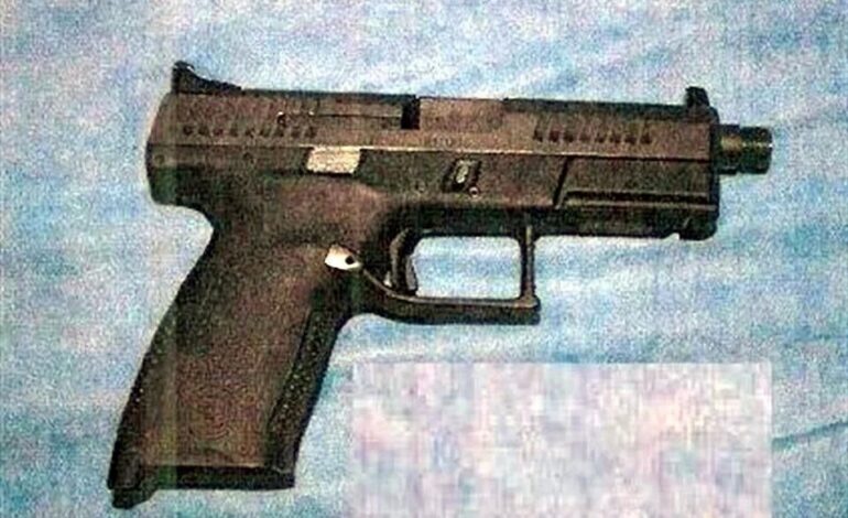 Avalan que funcionarios de CFE, SAT y Banxico porten armas